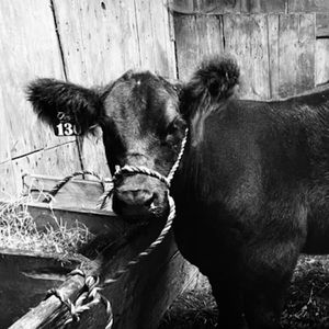 Meet your Posher, Emrie